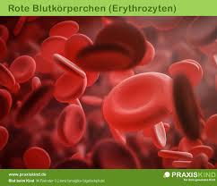 Habe das auch dem kinderarzt gesagt und der wollte auch keine stuhlprobe. Blut Bei Kindern Blutzellen Und Blutbildung Netpapa