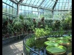 All posts tagged program gradina botanica iasi. Gradina Botanica Din Cluj Youtube