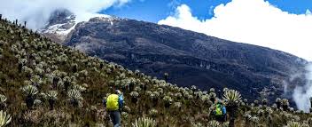 Trekking Parque Nacional Natural de los Nevados. Camina los Andes!