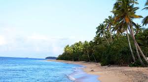 Due to its location within the pacific ring of. Tonga Paradies Der Sudsee Geo