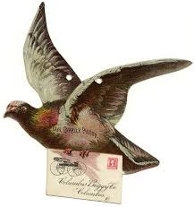 Carrier Pigeon Drawing Google Search Vintage Birds Pigeon Books Vintage