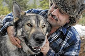 For half-wolves, there's no such thing as a free munch