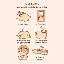 Pusheen Unicorn Gifs Get The Best Gif On Giphy Transparent unicorns gif | wifflegif. pusheen unicorn gifs get the best gif
