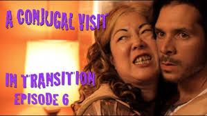 CONJUGAL VISIT by Daniel Rubiano