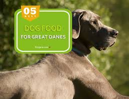 Avoid going too high or the excess calories might contribute to overgrowth. Best Dog Food For Great Danes
