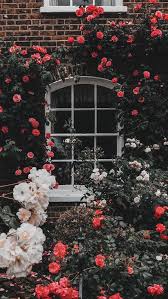 Flowers Wallpaper And Spring Image Aesthetic Iphone Wallpaper London 564x1002 Download Hd Wallpaper Wallpapertip