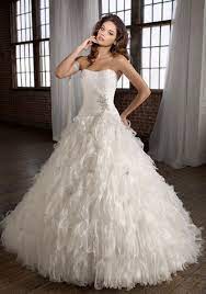 Swan Feather Wedding Dress Ball Gowns Wedding Wedding Dresses Wedding Dress With Feathers