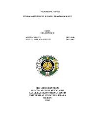 Jawaban modul praktikum audit sukrisno agoes. Modul 8 Kelompok 10
