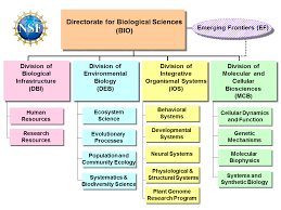 organic levels of biological organization