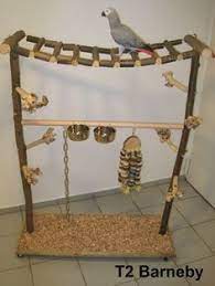 Diy Bird Projects Papagei Spielzeug Vogel Als Haustiere Papagei