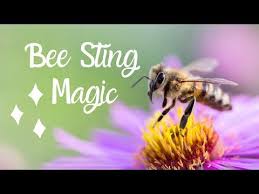 The Spiritual Meaning Of Getting A Bee Sting My Positive Interpretation Beestingmagic Youtube Bee Bee Sting Spiritual Meaning Of Bees