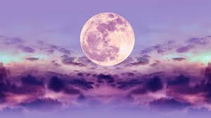 Aus dem alten film aussteigen und einen neuen film einlegen. Vollmond Am 19 04 2019 Pink Moon Erhellt Den April Strahlt Der Mond In Rosa News De