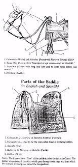 Peruvian Horse Tack Spanish To English Translation I Would Love One Of These Saddles Horse Tack Horses Horse Costumes