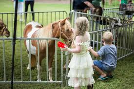 Birthday Liesl S Shabby Chic Petting Zoo Catch My Party Petting Zoo Birthday Party Zoo Birthday Party Petting Zoo Birthday