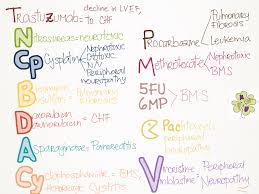 My Notes For Usmle Oncology Nursing Oncology Pharmacy School