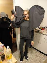 Elephant Dress Up Diy Google Search Elephant Costumes Elephant Halloween Animal Costumes