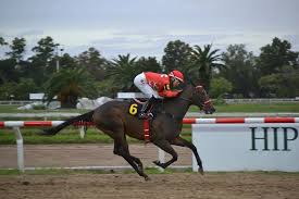 LÁGRIMAS Y SONRISAS SE HIZO DE GRUPO 1, MIENTRAS QUE LAGARTO BOY SUMÓ OTRO  TROFEO
