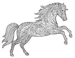 Cool um reino de cores.f e34c9e d78e729f2a0bd09 600 776.pin by lynn whitmore on zentangles animals birds objects etc.animal coloring pages for adults Adult Coloring Pages Animals Best Coloring Pages For Kids