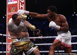 Get the latest boxing news, schedules of boxing fixtures and fight results on sky sports. Joshua Should Stay Away From Wilder Fury Usyk John David Jackson Boxing News 24