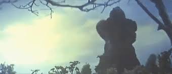 King of the monsters (2019) and soon godzilla vs. King Kong Vs Godzilla 1962 Godzilla Know Your Meme