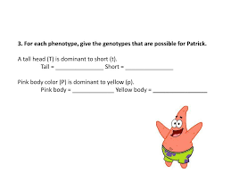 This article is a transcript of the spongebob squarepants episode giant squidward from season 6, which aired on june 3, 2008. Ppt Spongebob Genetics 1 2 Powerpoint Presentation Free Download Id 525378