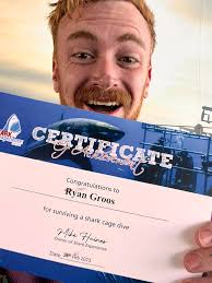 Diving with Great Whites in New Zealand