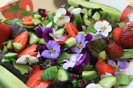 Roses lend themselves well to everything from soups and salads to teas, jams , and desserts like this delicious strawberry, pomegranate, and. Fairy Flower Salad Edible Flowers Summer Salads With Fruit Best Fruit Salad