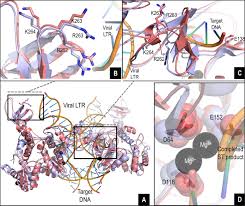Image result for Integrase Strand Transfer Inhibitor