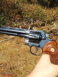 Image result for Bright Blue 1979 Colt