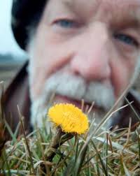 Han levde mitt i naturen