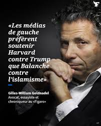 Le - Notre chroniqueur Gilles-William Goldnadel estime que Fabrice Balanche,  professeur à Lyon-II placé sous protection fonctionnelle après avoir subi  l'ire de militants propalestiniens, a été accablé par la présidente de son