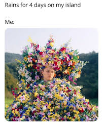 I Just Cleaned Them All Up Animalcrossing Animal Crossing Funny Animal Crossing Animal Crossing Memes