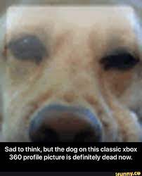 We have 12 pics on og gamerpic including images, pictures, models, photos, etc. Sad To Think But The Dog On This Classic Xbox 360 Profile Picture Is Definitely Dead Now Sad To Think But The Dog On This Classic Xbox 360 Profile Picture Is