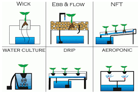 Types Of Hydroponic Systems Pakistan Hydroponics Hydroponics Farming In Pakistan