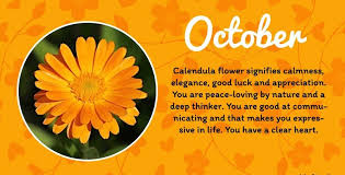Pin On October Birth Flower
