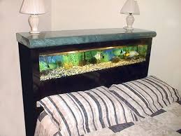 The black area shows that the betta is trying to gain focus and energy, and is trying to escape from the stressful situation that it is in. Bed Frame Fish Tank Aquarium Bed Frame Fish Tank