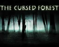 Mistery curse personal use download. The Cursed Forest Pc Game Free Download Freegamesdl