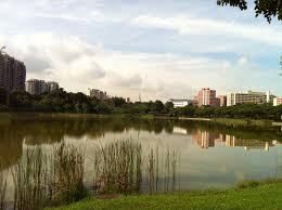 The sand is fine and soft, there's a collection of boulders (which makes for great photos), and it's often deserted, even though it's located close to punggol waterway park. Punggol Park Parks Nature Reserves Gardens Parks Nature National Parks Board Nparks