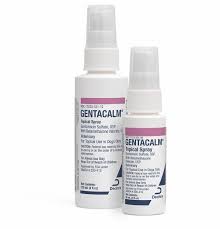 Image result for Gentamicin