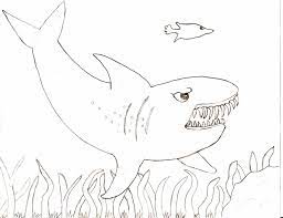 Shark coloring pages free and printable. Free Printable Shark Coloring Pages For Kids