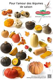 Poster Des Courges Prince De Bretagne Cuisiner Les Legumes Courge Variete De Courge