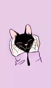 45 Cute Cat Wallpaper Aesthetic Iphone Backgrounds That Will Melt Your Heart Free Download Kitten Wallpaper Iphone Wallpaper Cat Cat Wallpaper