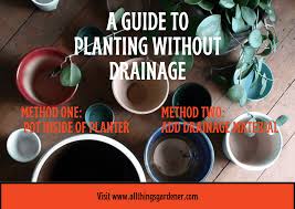 Decorative pots and wraps without drainage holes. Can You Plant Plants In Pots Without Drainage Holes The Captivating Facts You Need To Know 2021 All Things Gardener