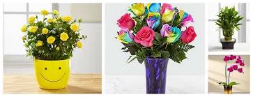We did not find results for: The 8 Best Options For Flower Delivery In Colorado Springs 2021
