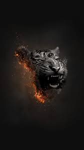If you're in search of the best full black wallpaper, you've come to the right place. Amoled Tiger Wallpapers Wallpaper Cave