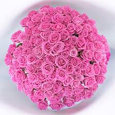 Aug 17, 2021 · las olas boulevard is fort lauderdale's premier destination for restaurants & dining, shopping & things to do / events. Send Flowers To Venice Italy Venice Flower Delivery