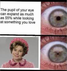 Mindannyian tudják, hogy ez az utolsó felvonás. Dolores Umbridge Dolores Umbridge Harry Potter Memes Hogwarts