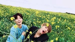 Hasil gambar untuk jeju island