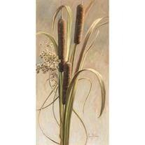 Darron Harmon Obituary