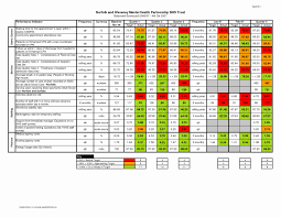 Vendor Scorecard Template Xls Beautiful 22 Of Fillable Balanced Scorecard Template Excel Templates Templates Free Printable Card Templates